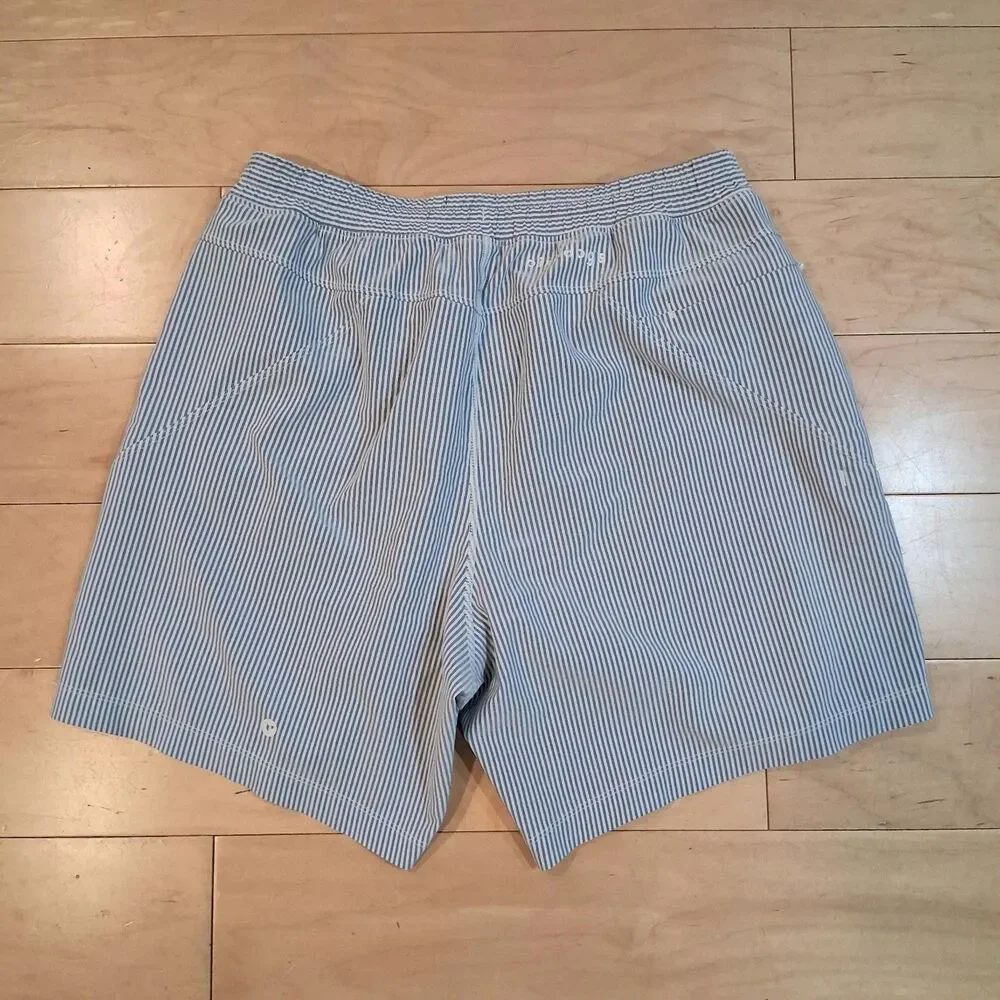 Birddogs Shorts Flying Wasps Blue Seersucker Stripe Size M Short/ 26